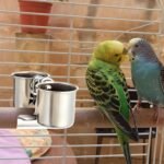 Tioncy 2 Pcs Clip on Water Bowl for Birds Parrot Feeding Double Cups Dishes Hanging Stainless Steel Food Water Bowls with Clip Pet Animal Feeder Cup Holder for Cage Coop Perches Play Stand Accessories - Image 6