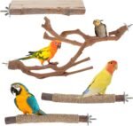 5 Pieces Wood Bird Perch, Natural Wooden Parrot Perch Stand Fork Toys,Practical Hanging Multi-Branch Perch Platform Hammock Swing Toy,Bird Cage Accessories for Macaws Parakeets Conures Budgies Finches - Image 2