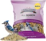 Armstrong All Season Blend, Premium Wild Bird Seed Mix, 4KG (8.8LB) Bag - Image 2