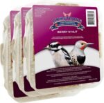 Armstrong Wild Bird Food Berry N' Nut Suet Cake, 11.3 Ounces (Pack of 3) - with Cut Corn, Rendered Beef Fat, White Millet, Peanut Meal and Apple Pomace for Downy Woodpeckers and Northern Flickers - Image 2