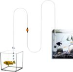 FAWAYSHAAN Drip Acclimation Kit for Saltwater and Freshwater Aquariums, Fish Tanks Accessories for Shrimp, Marine Fish, Coral,Plants - Image 2