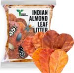 Leaf Litter for Isopods Vivarium Indian Almond Leaves , Tarantulas, Spiders, Crickets Millipedes & Reptiles – 80pcs Natural 4" Dried Catappa Leaves for Bioactive Terrariums,Aquariums & Habitat - Image 2