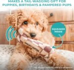 Haute Diggity Dog Checker Chewy Vuiton Bone, Plush Designer Dog Toys with Interactive Squeaker, Stimulating Pet Enrichment, Machine-Washable & Safe Materials for All Breeds, Size Small - Image 4