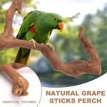 Parrot Perch Bird Perch Stand Set Natural Wild Wood Grape Sticks Paw Grinding Fork Parakeet Climbing Standing Branches Toys Cage Accessories for Conure,Cockatiels Lovebirds,Budgies Chewable 6PC - Image 4