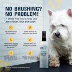 Pets are Kids Dog Dental Spray - 8oz Premium Dog Breath Spray & Dental Care - Natural Breath Freshener, Fights Tartar, Plaque & Gum Disease, Mouthwash for Dogs & Cats - Mint Formula Water Additive - Image 4