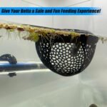 Aquarium Floating Betta Fish Skins, Betta or Shrimp Feeder, Cave and Hammock, Small Fish Feeding Rings, Aquarium Hiding Feeding Decorative Accessories (Black) - Image 4