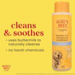 Burt’s Bees for Pets Tear Free Puppy Shampoo & Conditioner with Buttermilk, 2 in 1 Gentle Dog Shampoo for Puppies, Cleans and Conditions Sensitive Skin, 16 Fl Oz - 2 Pack - Image 4