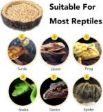 CalPalmy 2 Pack Reptile Water and Food Bowls, Novelty Food Bowl for Lizards, Young Bearded Dragons, Small Snakes and More - Made from BPA-Free Plastic - Image 5