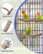 Bissap Bird Perch Stand 7PCS, Natural Grape Wood Pole Standing Parrot Cage Branch Paw Grinding Fork Parakeet Platform Hammock for Conures Budgies Finches Cockatiels Small Birds Exercise Training - Image 3