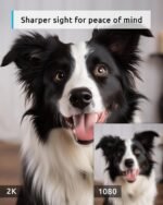 blurams 5G Pet Camera 2K, 360° PTZ Dog Camera with Phone App, Indoor Cameras for Home Security w/Dual-Band WiFi6, 2-Way Audio, Motion Tracking, Color/IR Night Vision, Siren, Cloud&SD - Image 3