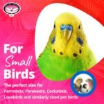 Super Bird Creations SB872 Mini Xmas Tree Bird Toy, Small/Medium Bird Size, 7" x 2" - Image 3