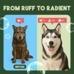 TropiClean Deshedding Dog Shampoo and Conditioner Set, Grooming Bundle for Shedding Control, Puppy Safe, Lime & Coconut Scent, Made in USA, 20 oz. - Image 6