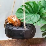 Hermit Crab Tire Swing Toy, Hermit Crab Climbing Toy, Reptile Tank Aquarium Decoration Accessory, Suitable for Small to Medium Sized Hermit Crabs Frog, 3.7 Inches in Diameter - Image 3