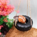 Hermit Crab Tire Swing Toy, Hermit Crab Climbing Toy, Reptile Tank Aquarium Decoration Accessory, Suitable for Small to Medium Sized Hermit Crabs Frog, 3.7 Inches in Diameter - Image 5