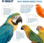 Pervue Pet Products Naturals Preen & Pacify Woodland Harvest Bird Toy 62549 - Image 7