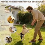 Dog Knee Brace for Torn ACL,Dog ACL Braces with Side Stabilizers,Adjustable Dogs Leg Brace Suitable for 4 Limbs,Dogs Hip Brace for Arthritis Relief, Joint Stability,Reduces Pain and Inflammation (s) - Image 4