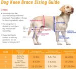 Dog Knee Brace for Torn ACL,Dog ACL Braces with Side Stabilizers,Adjustable Dogs Leg Brace Suitable for 4 Limbs,Dogs Hip Brace for Arthritis Relief, Joint Stability,Reduces Pain and Inflammation (s) - Image 7