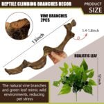 BNOSDM 2PCS Natural Reptile Climbing Branches Decor,1.3-1.8" Thick Natural Snake Climbing Forest Wood with Plant Leaf Decor,Lizard Forest Branch,Geckos Tank Tree Trunk Accessories for Bearded Dragons - Image 3