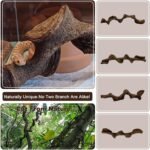 BNOSDM 2PCS Natural Reptile Climbing Branches Decor,1.3-1.8" Thick Natural Snake Climbing Forest Wood with Plant Leaf Decor,Lizard Forest Branch,Geckos Tank Tree Trunk Accessories for Bearded Dragons - Image 5