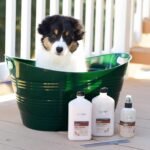 Isle of Dogs - Everyday Elements Silky Coating Conditioner For Dogs - Jasmine + Vanilla - Moisturizing Pet Conditioner With Aloe Leaf Juice For A Softer, Shinier Coat - 16.9 Oz, (711-16oz) - Image 5