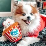 Nocciola Popcorn Squeaky & Plush Dog Toys | Hide & Seek, Interactive, Crinkle Toys for Small & Medium Dogs - Image 3