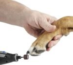 Dremel PawControl 7760-PGK Dog Nail Grinder and Trimmer - Cordless & Rechargeable Pet Grooming Tool Kit - Safe and Humane for Dogs, Cats, and Small Animals - Image 6