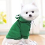 Warm Dog Winter Clothes Cute Fruit Dog Coat Hoodies Fleece Pet Dogs Costume Jacket for French Bulldog Chihuahua Ropa para Perro(Green,XS) - Image 5