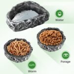 TRUVIC 2 Pack Reptile Feeding Dish Set, Reptile Water Dish Food Bowls for Bearded Dragon Tank Accessories, Resin Terrarium Bowls for Leopard Gecko, Lizard, Chameleon, Hermit Crab, Tortoise, Frog - Image 5