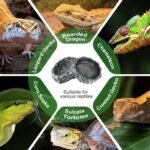 TRUVIC 2 Pack Reptile Feeding Dish Set, Reptile Water Dish Food Bowls for Bearded Dragon Tank Accessories, Resin Terrarium Bowls for Leopard Gecko, Lizard, Chameleon, Hermit Crab, Tortoise, Frog - Image 6