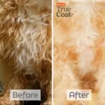 Hartz True Coat Curly or Wavy Coat Specific Dog Shampoo, Detangles & Conditions with Oat Milk, Coconut Oil & Shea Butter - Image 6