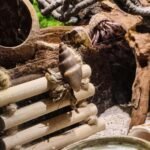 Crested Gecko Tank Accessories，Reptile Vines Plants with Coconut Shell Ladder Hideout Hermit Crab Decor for Bearded Dragon Lizard Chameleon Tortoise Snake - Image 4