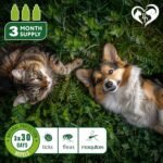 Flea and Tick Prevention for Small Dogs & Cats, Rabbits - Natural Flea Treatment & Pest Control - Topical Flea & Mosquito Repellent for Puppy and Kitten - All Pets - Image 4