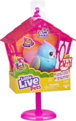 Little Live Pets Bird and Bird House - Rainbow Tweets, Multicolor (26102) - Image 4