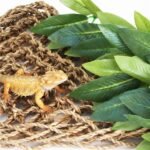 SLSON Reptile Plants Hanging Silk Terrarium Plant with Suction Cup for Bearded Dragons,Lizards,Geckos,Snake Pets and Hermit Crab Tank Habitat Decorations,Small Size,12 inches Green - Image 3