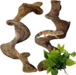 BNOSDM 2PCS Natural Reptile Climbing Branches Decor,1.3-1.8" Thick Natural Snake Climbing Forest Wood with Plant Leaf Decor,Lizard Forest Branch,Geckos Tank Tree Trunk Accessories for Bearded Dragons - Image 2