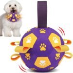 QDAN Interactive Dog Toys, Squeaky Moving Ball Toy with Remote Control, Music Modes Bouncing Ball for Dogs, Rechargeable Dog Toys to Keep Them Busy, Puppy Toys for Small Medium Large - Image 2