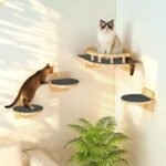 XiaZ Cat Wall Shelves, Corner Cat Shelf with 3 Wide Perch Steps, Kitty Wall Climber Wooden Furniture up to 25lbs, Modern Floating Cats Stairs for Indoor Sleeping, Playing, Climbing - Image 2
