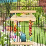 Bird Perches Cage Toys Parrot Wooden Platform Play Gyms Exercise Stands with Acrylic Wood Swing Ferris Wheel Chewing for Animals Green Cheeks, Baby Lovebird, Chinchilla, Hamster Budgie - Image 3