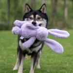 Best Pet Supplies Squeaky Dog Toys with Soft Durable Fabric for Small, Medium and Large Pets Interactive Toy for Indoor Play, Supports Active Biting and Play - Bunny (Purple), Small - Image 7
