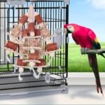 Bird Toys, Natural Corn Stick Parrot Toys Hanging in Bird Cages，for Small and Medium-Sized Macaws,African Grey,Cockatoos,Cockatiel,Sun Conure，Amazon Parrots - Image 9