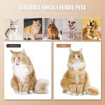 Cloud Care Cat Brush for Indoor Cat Steam Brush for Shedding Spritz Defur Comb for Cats Dogs Steam Brushes for Long Short Hair Cats Dogs Pet Steam Brushes for Massage Grooming Self-Cleaning - Image 4