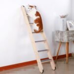 SHENGOCASE Solid Wood Wall Leaning Cat Ladder for Indoor Cats and Small Medium Dog, Stair Step for Window Bed, Wall Climbing Furniture (47.2") - Image 3