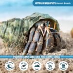 Fluker's All Natural Premium Hermit Crab Sand Substrate, Sand Mixture with Coconut Fiber, For Hermit Crab Tanks, 12 lbs. - Image 5