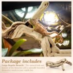 Janinka 14-17" Length Large Wood Reptile Branch for Bearded Dragon Driftwood Reptile Climbing Habitat Decoration for Terrarium Tree Trunk Ornament Gecko Frog Chameleon Spider - Image 4
