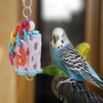 Wontee Bird Chewing Toys Bird Beak Grinding Stone Calcium Parakeet Treats for Budgies Cockatiels Conures Quaker Senegal Parrot (Random Color) - Image 6
