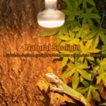 REPTI ZOO 2 Pack Heat Lamp 75W, Intense Basking Spot Simulated Natural Sunlight Heating Lamp Bulb, Heat Emitter UVA Heat Lamp Bulb for Reptile Chickens Pet Brooder - Image 3