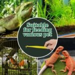4-Pack Reptile Feeding Tongs Set - Hygienic Anti-Slip Yellow Tweezers for Bearded Dragons, Lizards, Snakes, Aquariums & Small Animals(Five Colors to Choose from) - Image 8