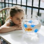 Humidifier Tank Cleaner, 10PCS Universal Humidifier filters fish Compatible with Drop,Droplet, Warm&Cool Mist Humidifiers, Fish Tank, Keep The Water (Fish-blue) - Image 5