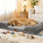 Comfort Expression Orthopedic Dog Bed for Extra Large Dogs 42x30 Inch, Waterproof Egg Crate Foam XL Pet Bed with Removable Bolsters, Dog Couch with Washable Cover & Non-Slip Bottom, Grey - Image 4