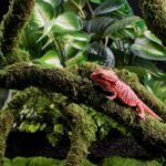 Moss Vine for Reptiles, Bendable Climbing Vines Reptile Tank Accessories, Natural Moss Rope for Leopard Gecko, Lizard, Snake, Chameleon, Frog Terrarium Decor (Jungle Green, 9.8 FT) - Image 3